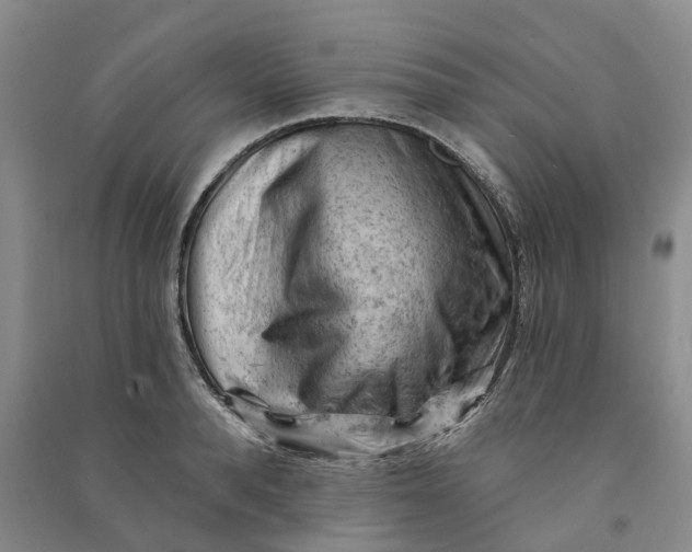 X0000090890896200708171703