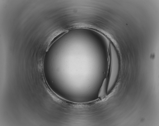 X0000090890897200708171703