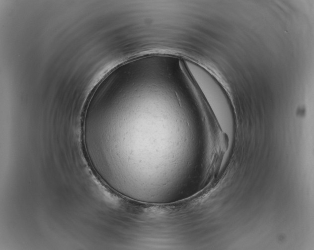 X0000090890898200708171703