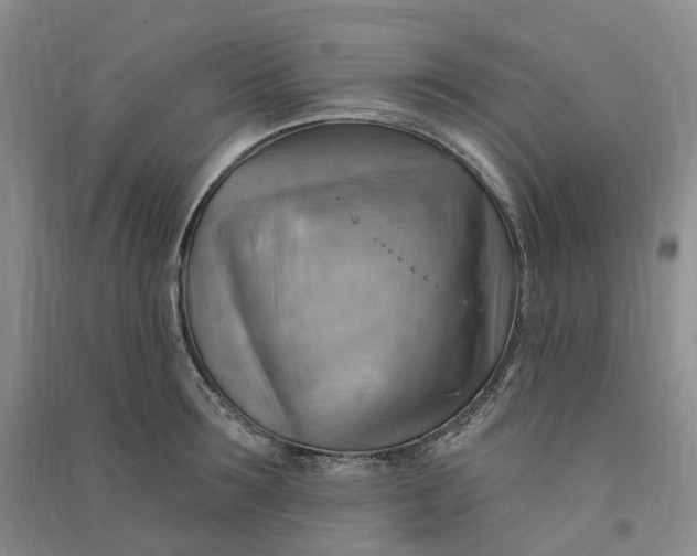 X0000090890899200708171703