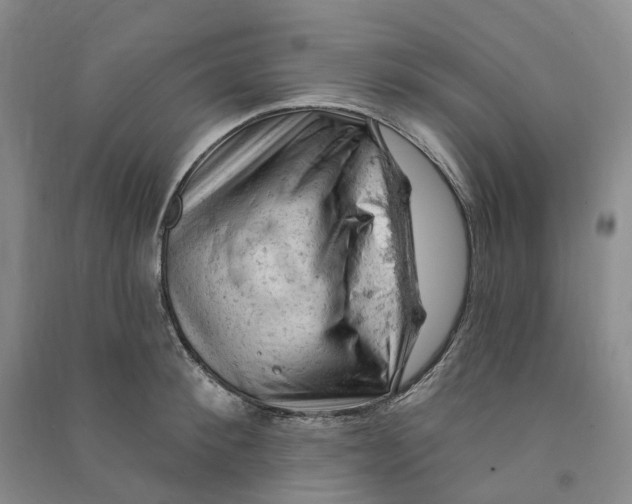 X0000090890900200708171703