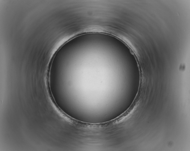 X0000090890901200708171703