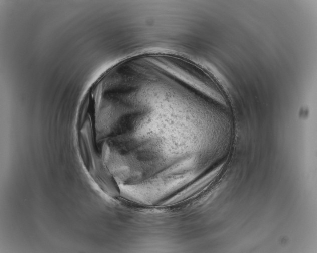 X0000090890902200708171703