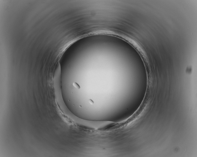 X0000090890905200708171703