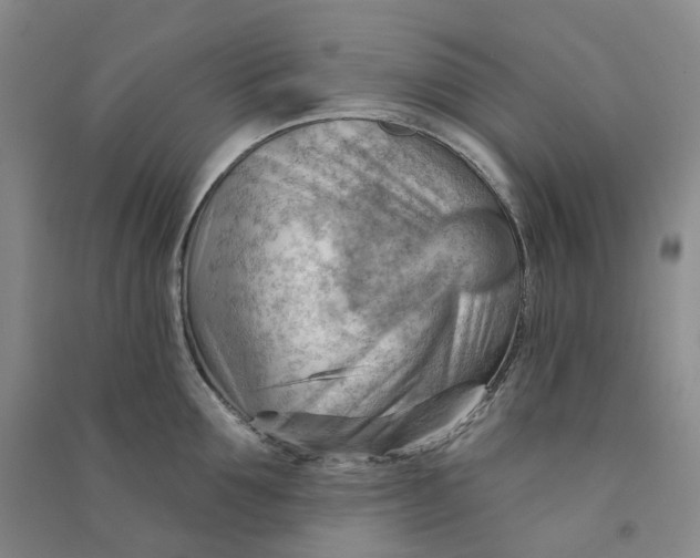 X0000090890907200708171703