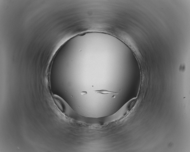 X0000090890908200708171703