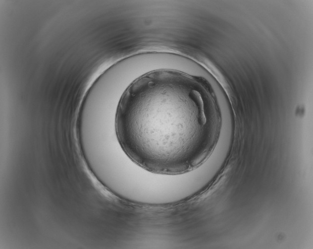 X0000090890909200708171703