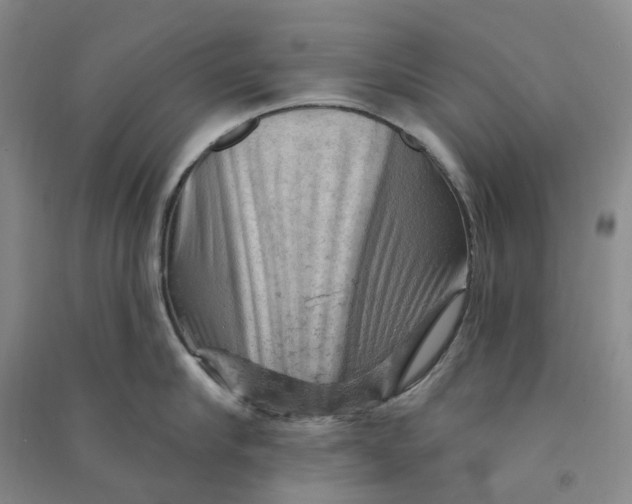 X0000090890910200708171703