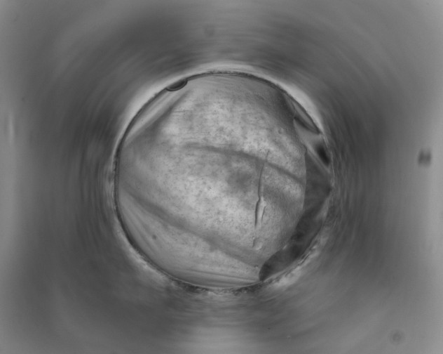 X0000090890911200708171703