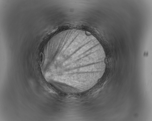 X0000090890913200708171702