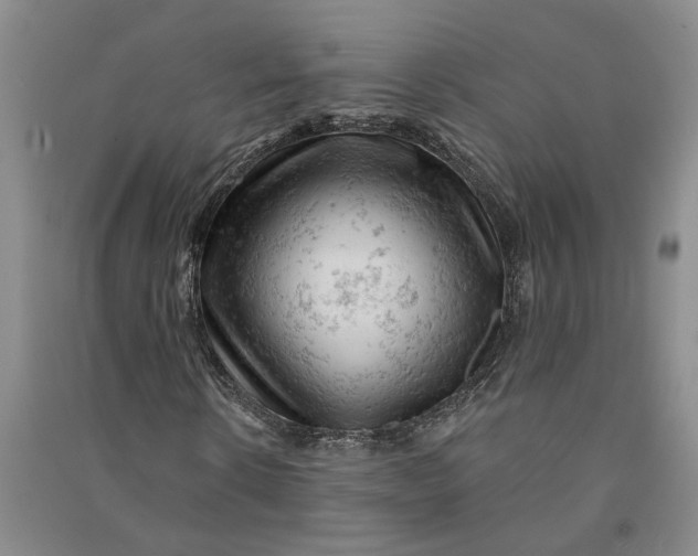 X0000090890914200708171702