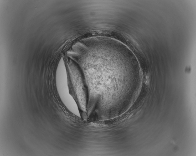 X0000090890915200708171702