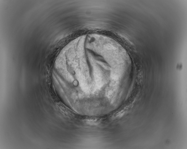 X0000090890917200708171702