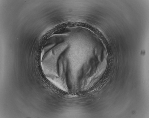 X0000090890919200708171702