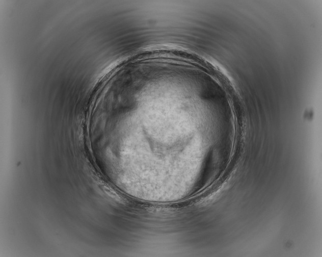 X0000090890921200708171703