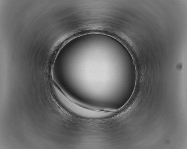 X0000090890922200708171703