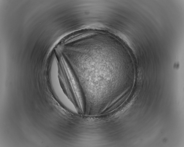 X0000090890923200708171703