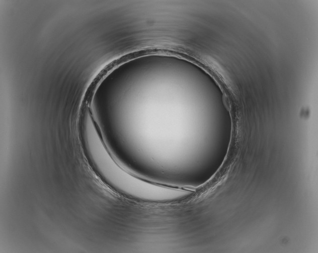 X0000090890924200708171703