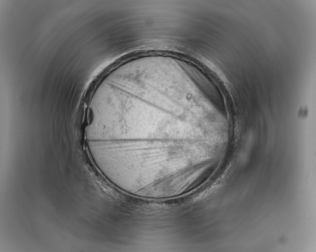 X0000090890925200708171703