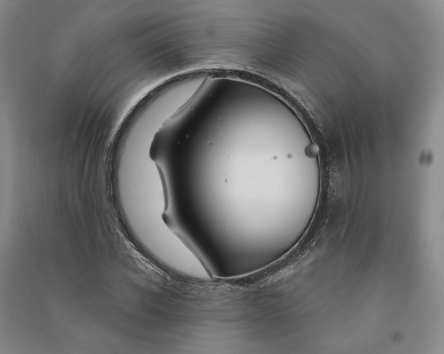 X0000090890926200708171703