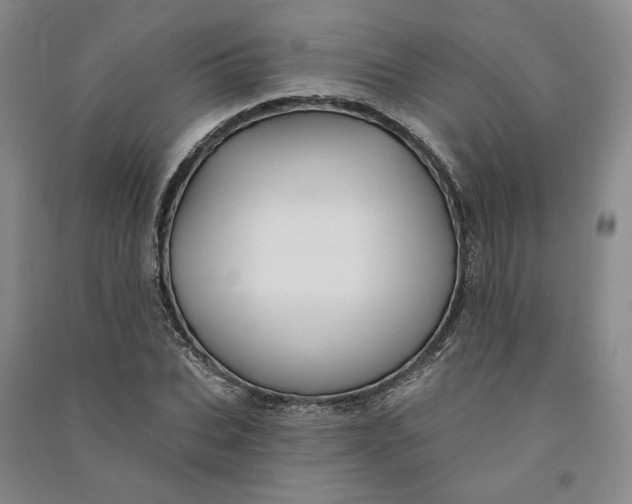 X0000090890927200708171703