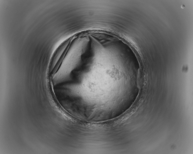 X0000090890928200708171703