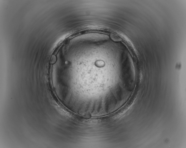 X0000090890930200708171703