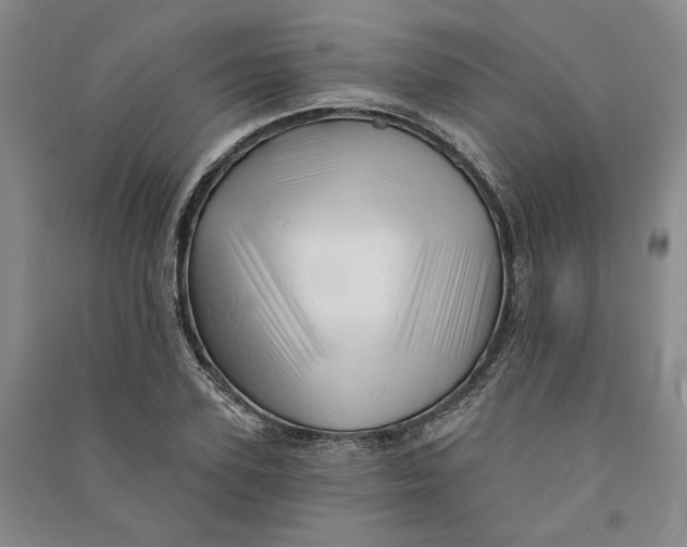 X0000090890931200708171703