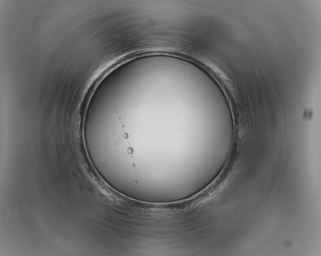 X0000090890933200708171703