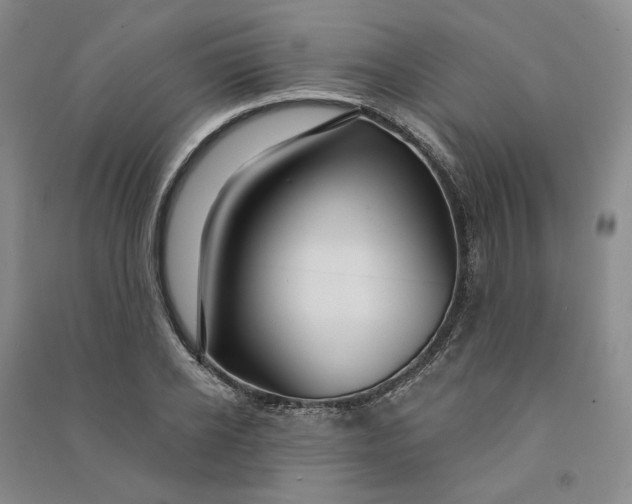 X0000090890934200708171703