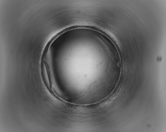 X0000090890935200708171703