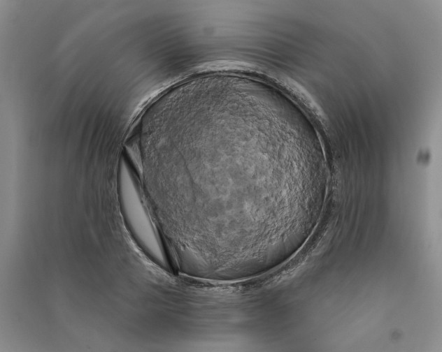 X0000090890937200708171703