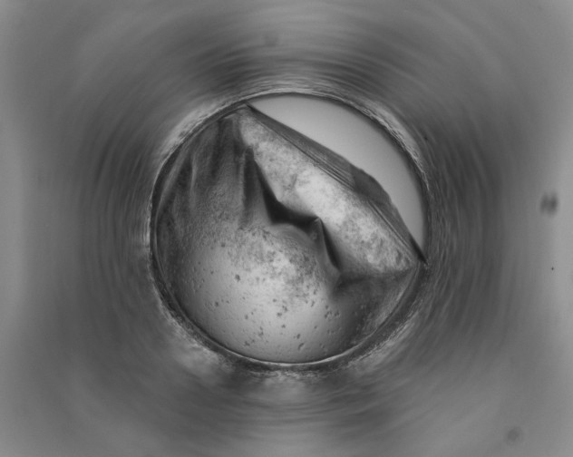 X0000090890938200708171703