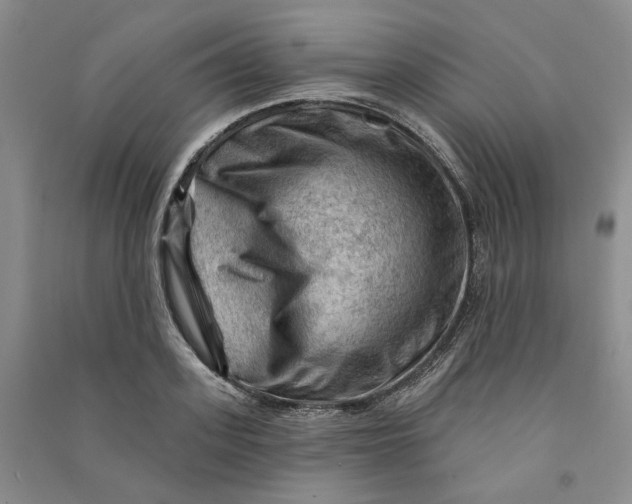 X0000090890939200708171703