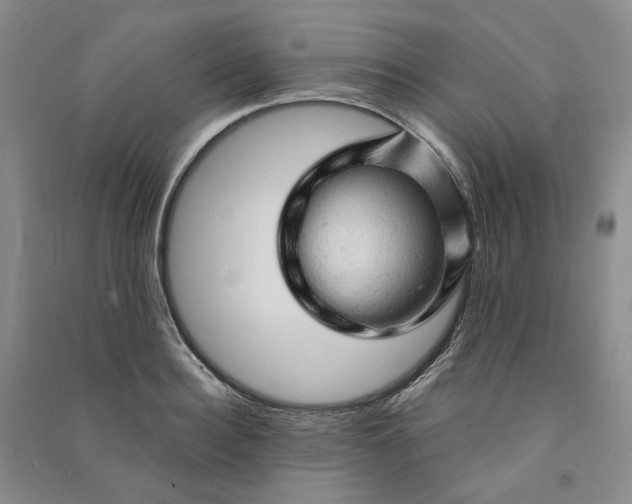 X0000090890940200708171703