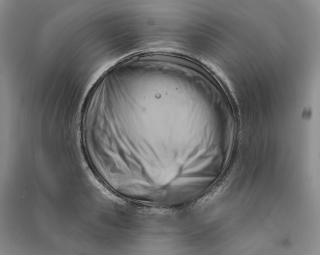 X0000090890941200708171703