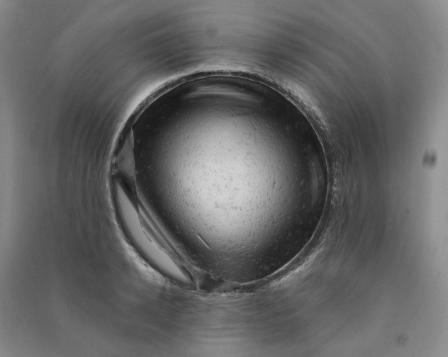 X0000090890942200708171703