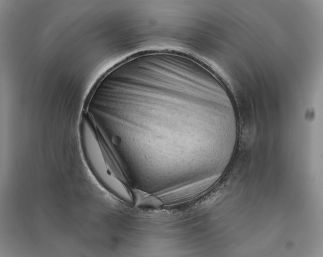 X0000090890943200708171703