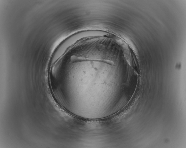 X0000090890944200708171703