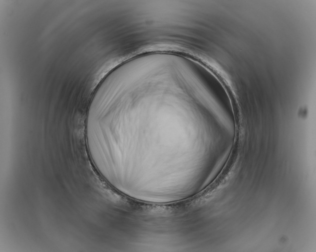 X0000090890945200708171703