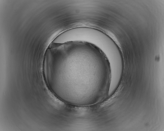 X0000090890946200708171703