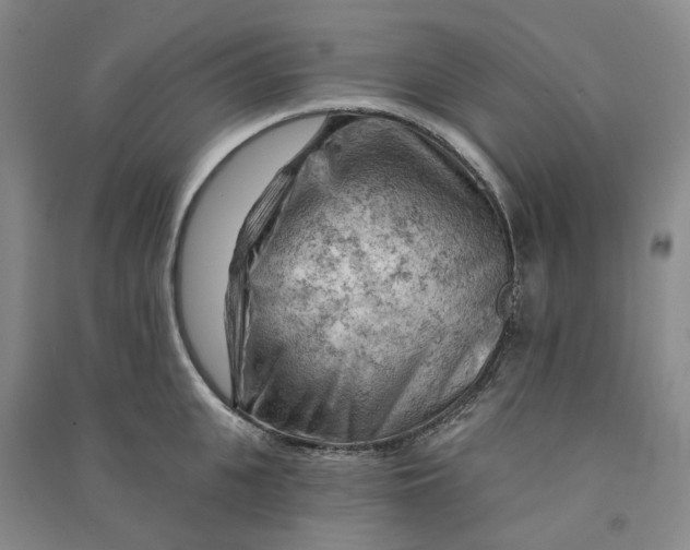 X0000090890951200708171703