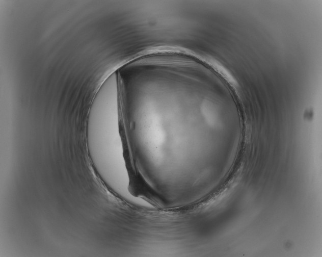 X0000090890953200708171703