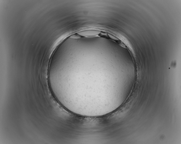 X0000090890954200708171703