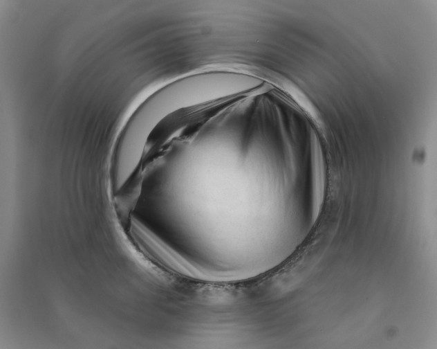 X0000090890955200708171703