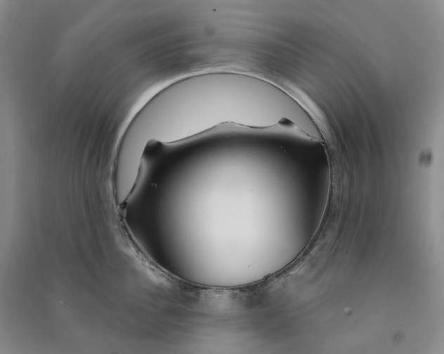 X0000090890956200708171703