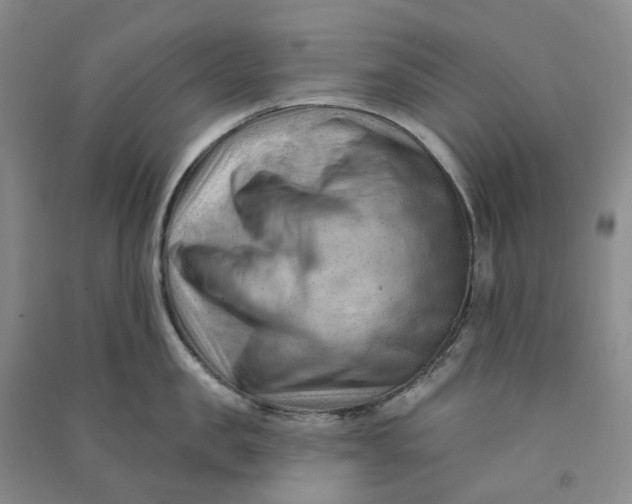 X0000090890957200708171703