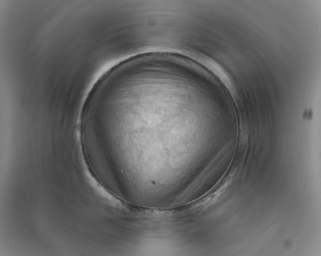 X0000090890958200708171703