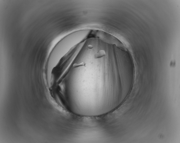 X0000090890960200708171703