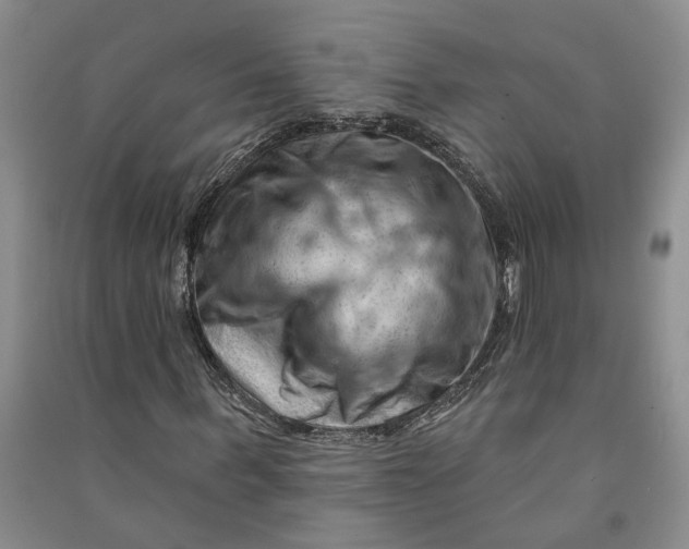 X0000090890963200708171702